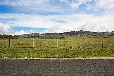 《FIFA 22》Xbox版容量公布 约50G大小