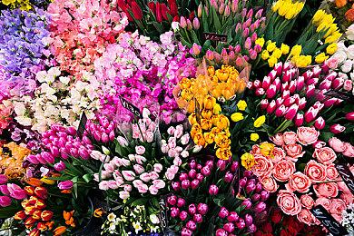 Key社视觉小说《Summer Pockets》改编动画公布